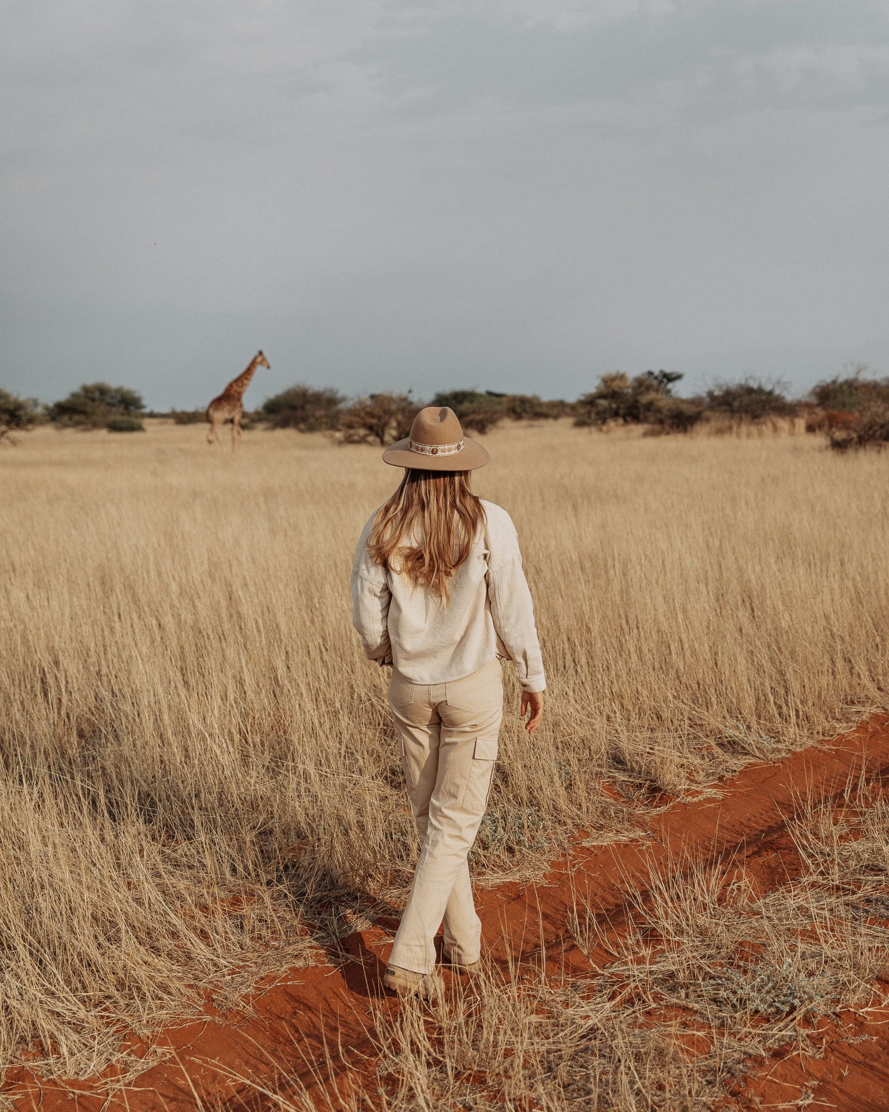 reizen namibie giraf