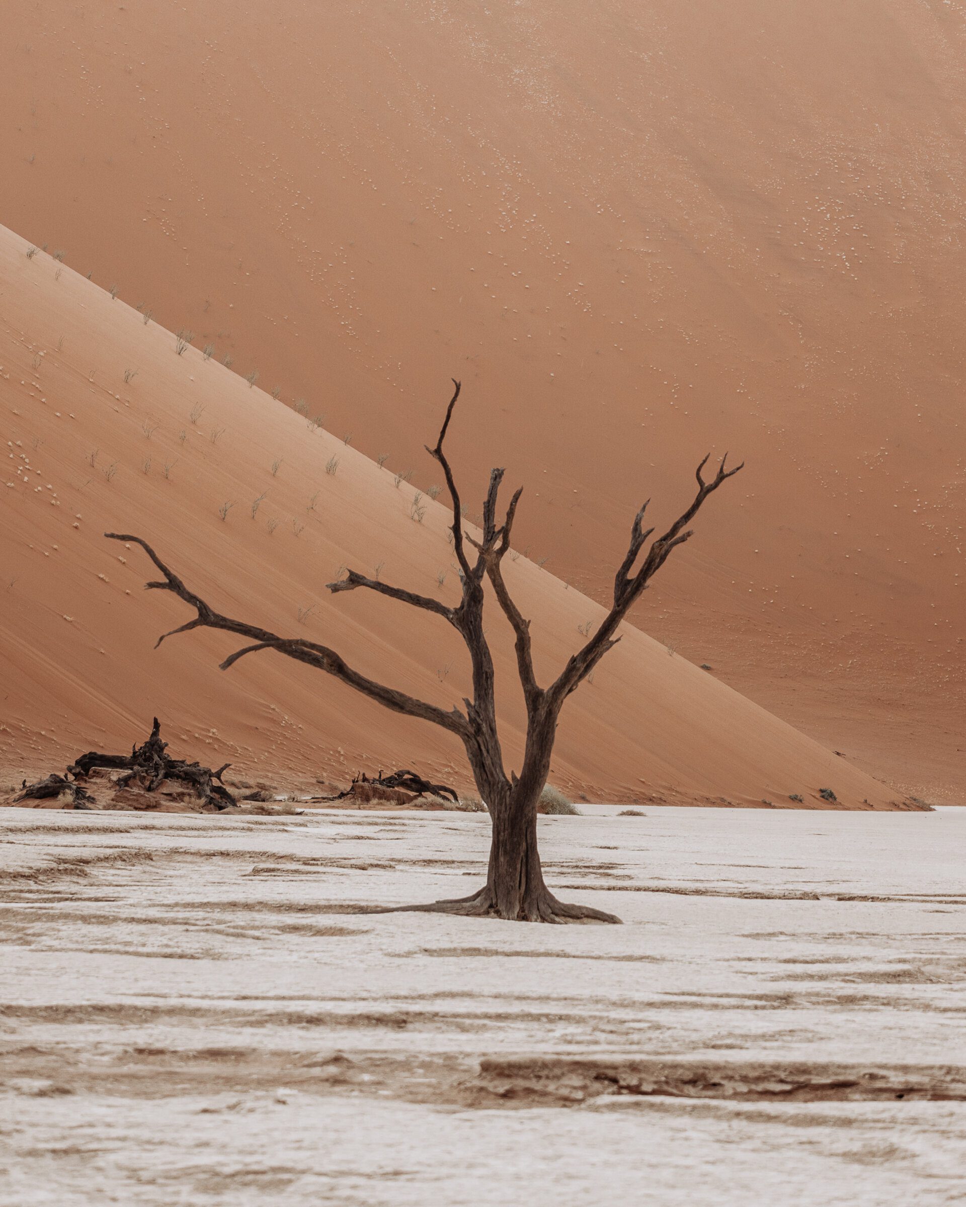 Roadtrip Namibië: beste reistijd, plekjes en routes