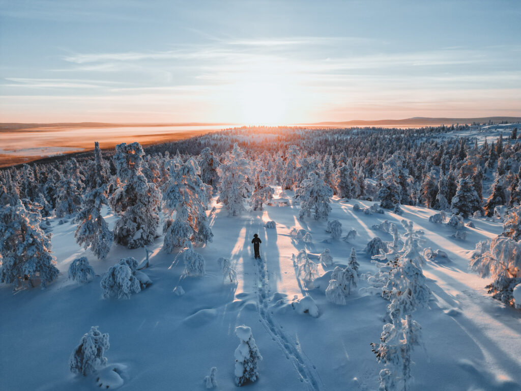 Natuur Lapland