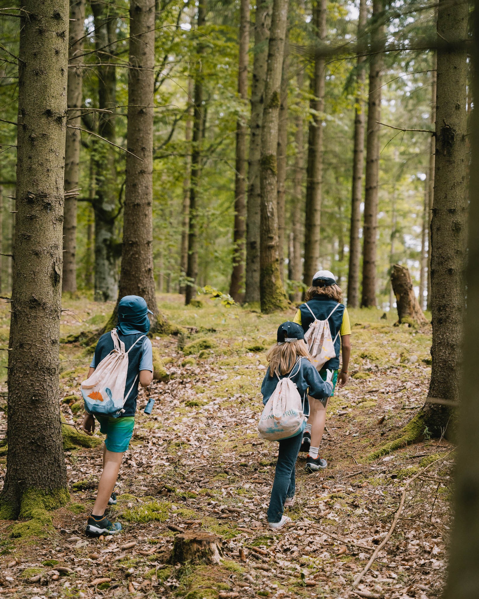 balade forêt suède enfants