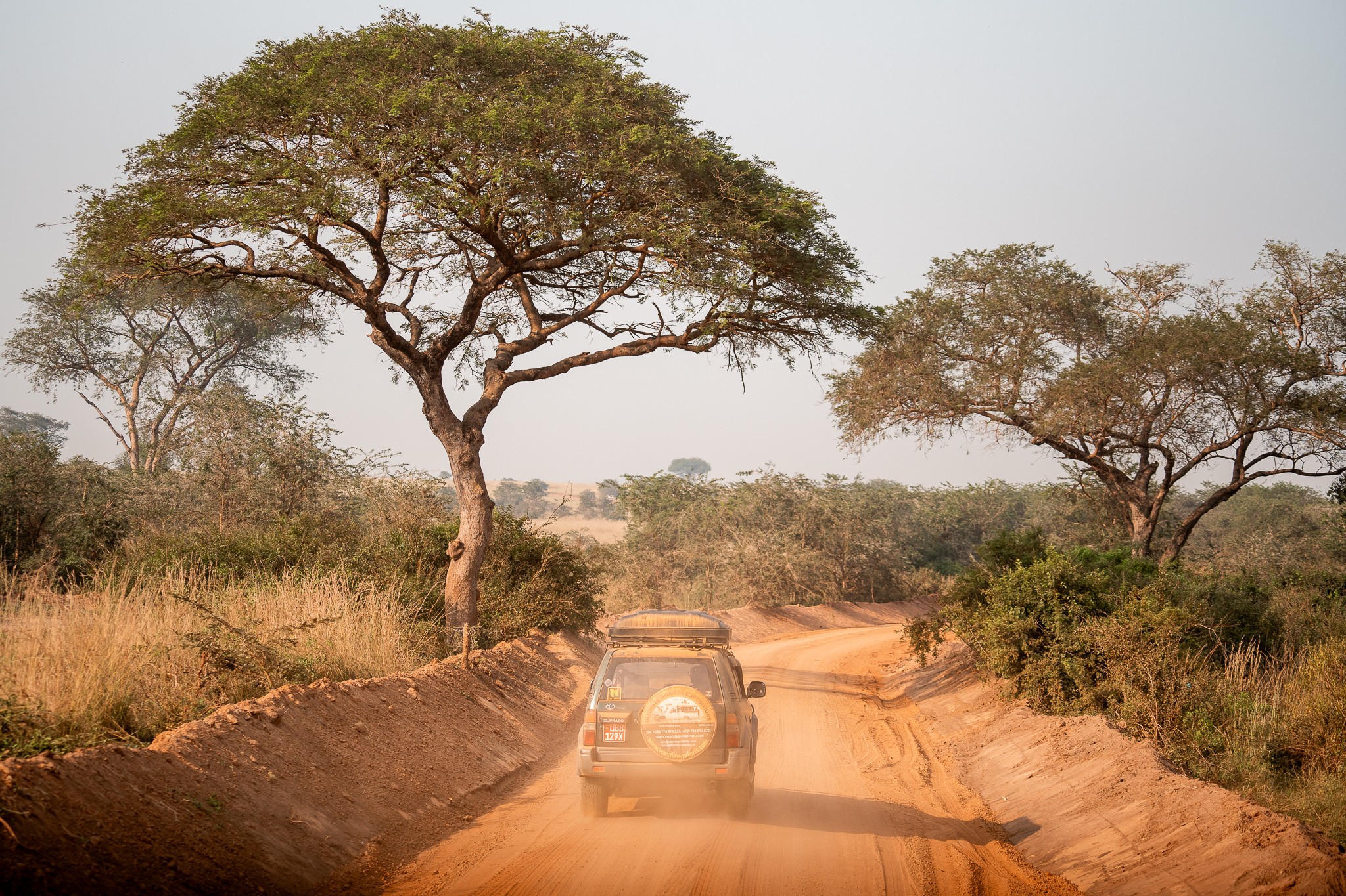 piste safari savane ouganda